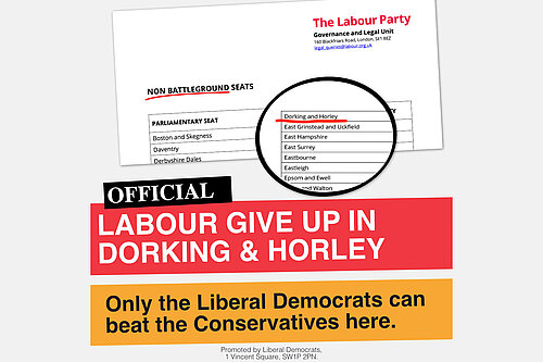 Labour visual