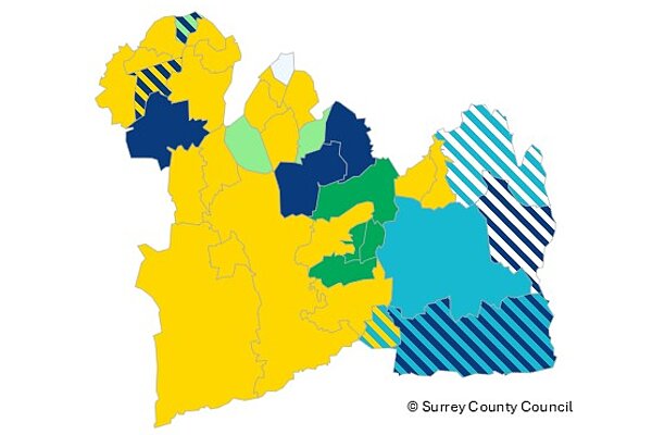 Map of results across East Surrey
