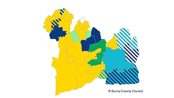 East Surrey results