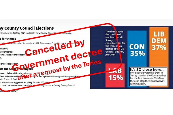 Graphic of cancelled election